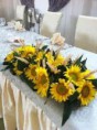 /album/fotogaleria-girasoles/images-26-jpg/